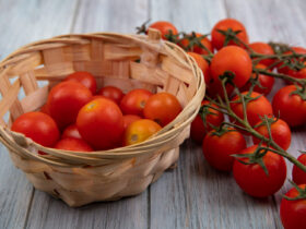 fertilizante foliar / tomate