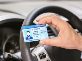 carteira de habilitação