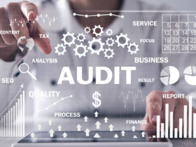auditoria interna